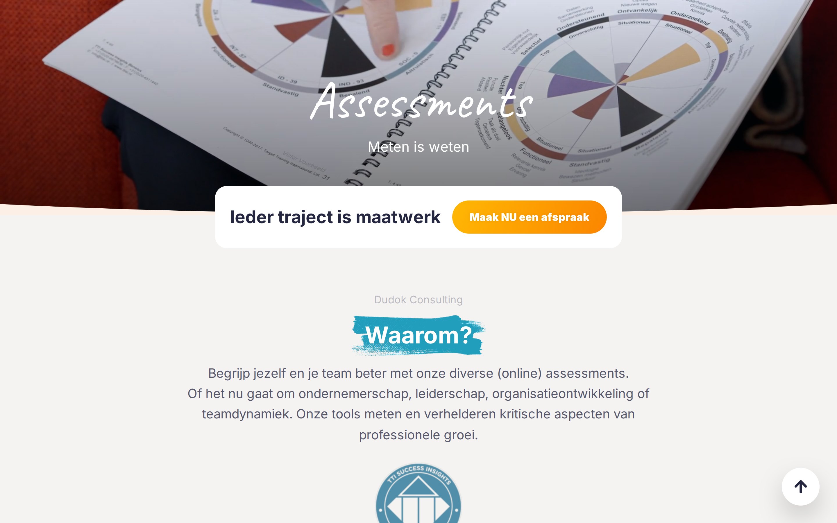 dudokconsulting.nl: services