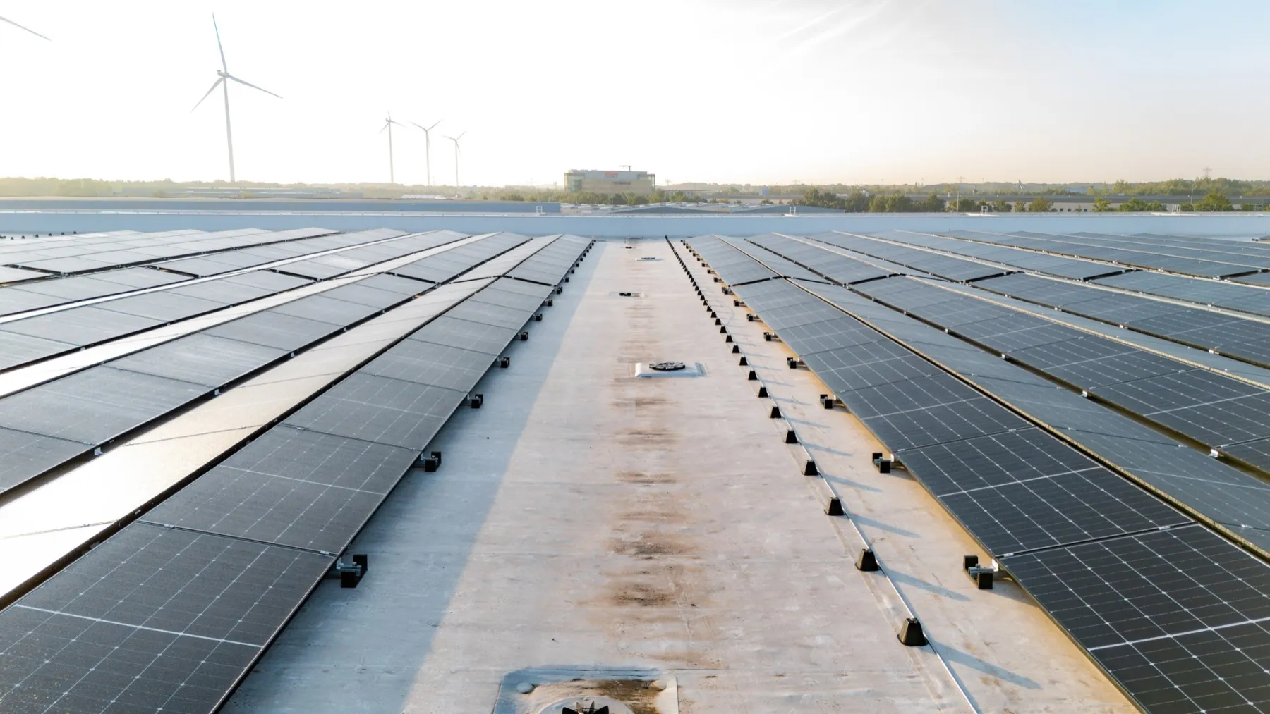 Tasmanweg Venlo: zonnedak op het distributiecentrum