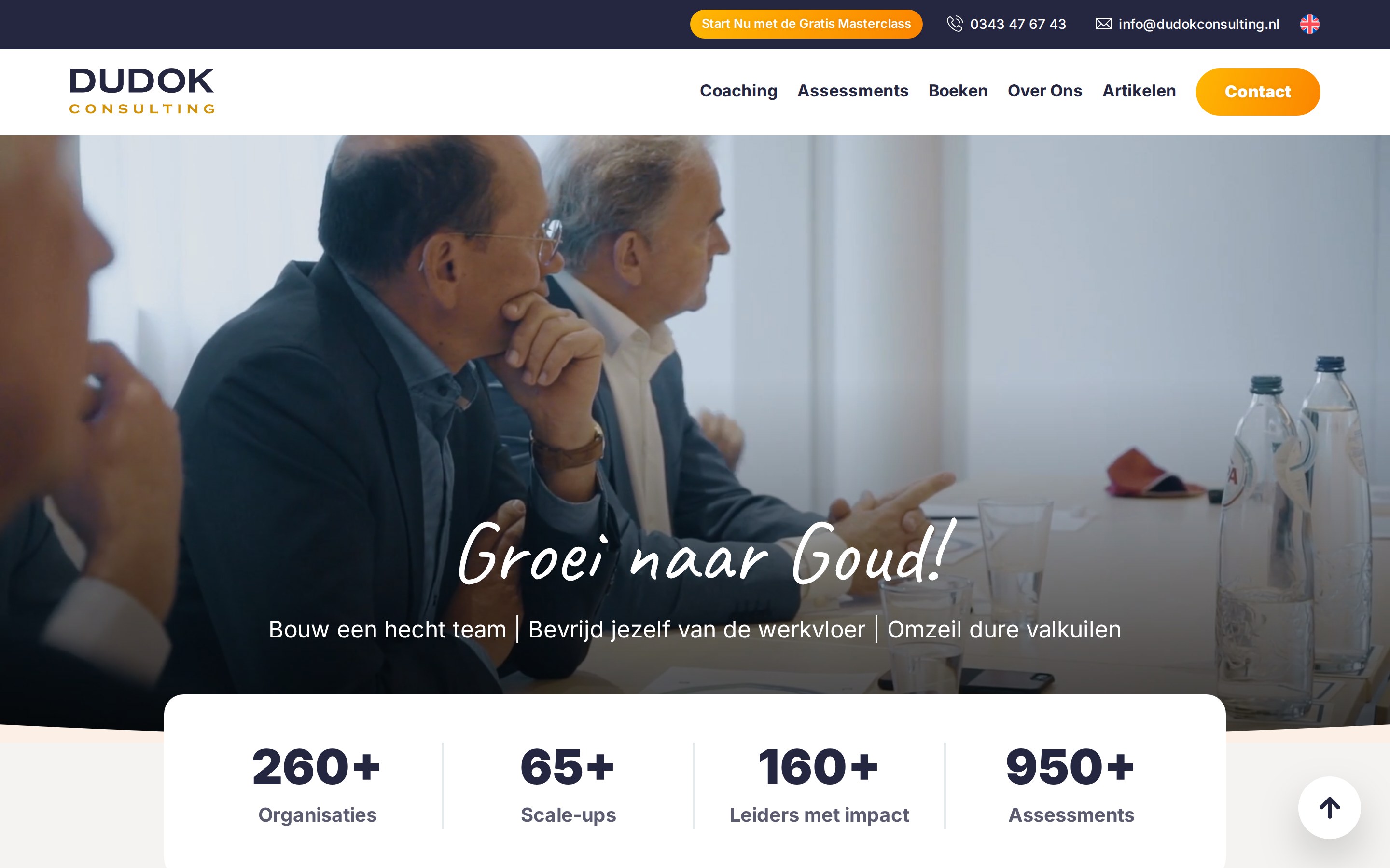 Website Dudok Consulting
