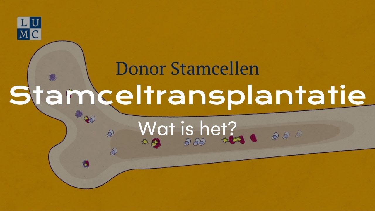 Wat is een stamceltransplantatie? (1/3)
