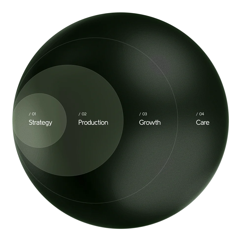 Het SIRCLE-model: strategie, productie, groei en care als een cyclus
